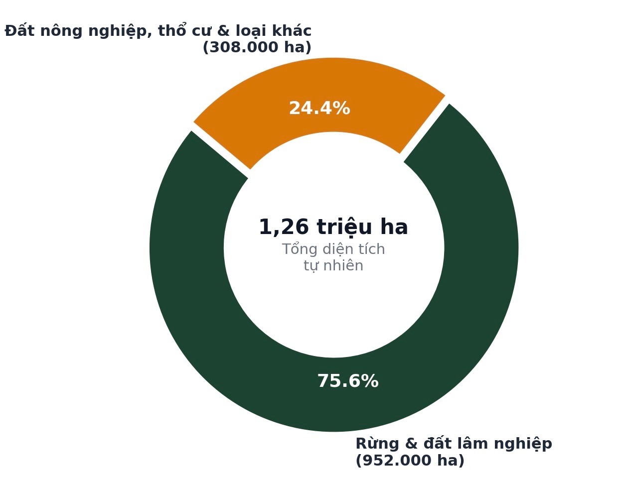 W-Bieu do 1 Co cau dat dai Quang Tri.png