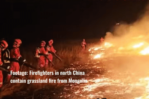 Ông lớn viễn thông Nhật Bản xin lỗi vì hơn 520.000 ha rừng Mông Cổ bị thiêu rụi