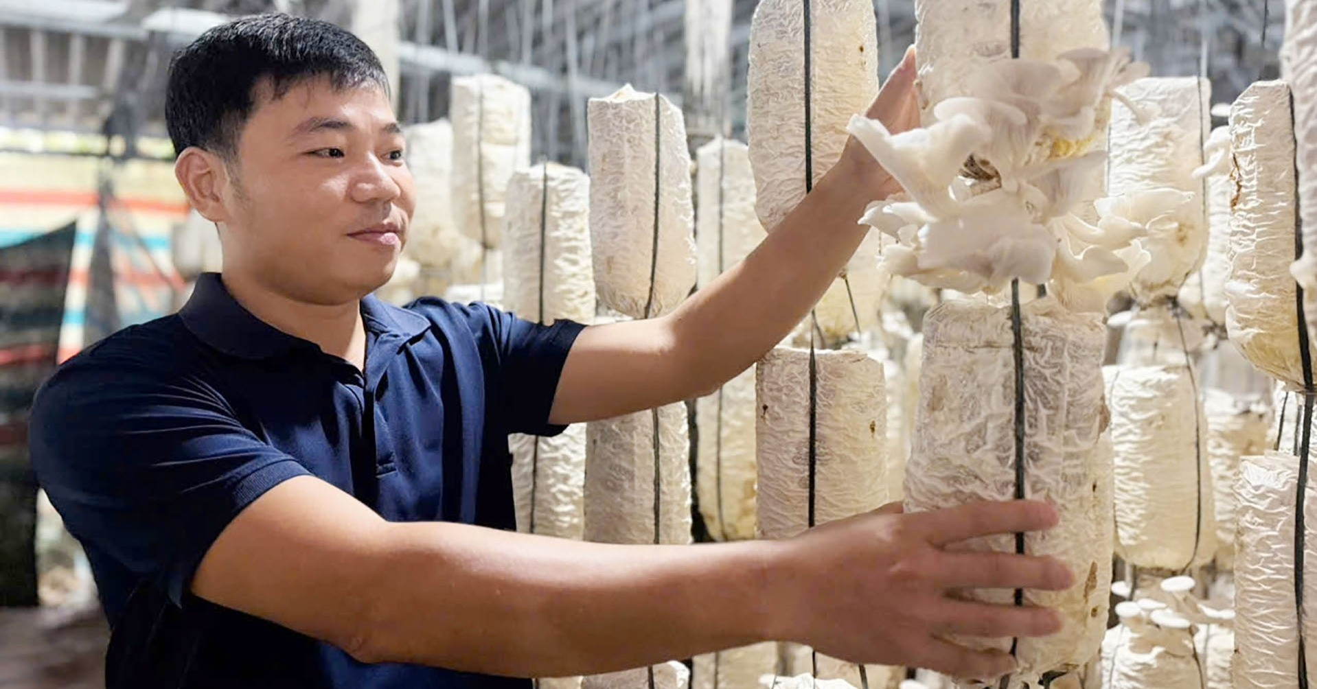 Vợ chồng 9X bỏ phố về quê trồng nấm, lãi khoảng 300 triệu đồng/năm