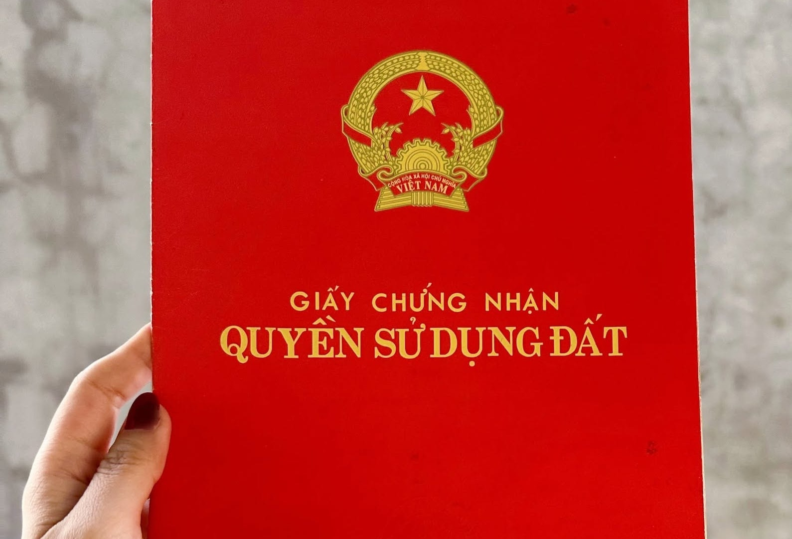 Hai sổ đỏ liền kề bị ghi sai số thửa, diện tích: Xử lý thế nào?