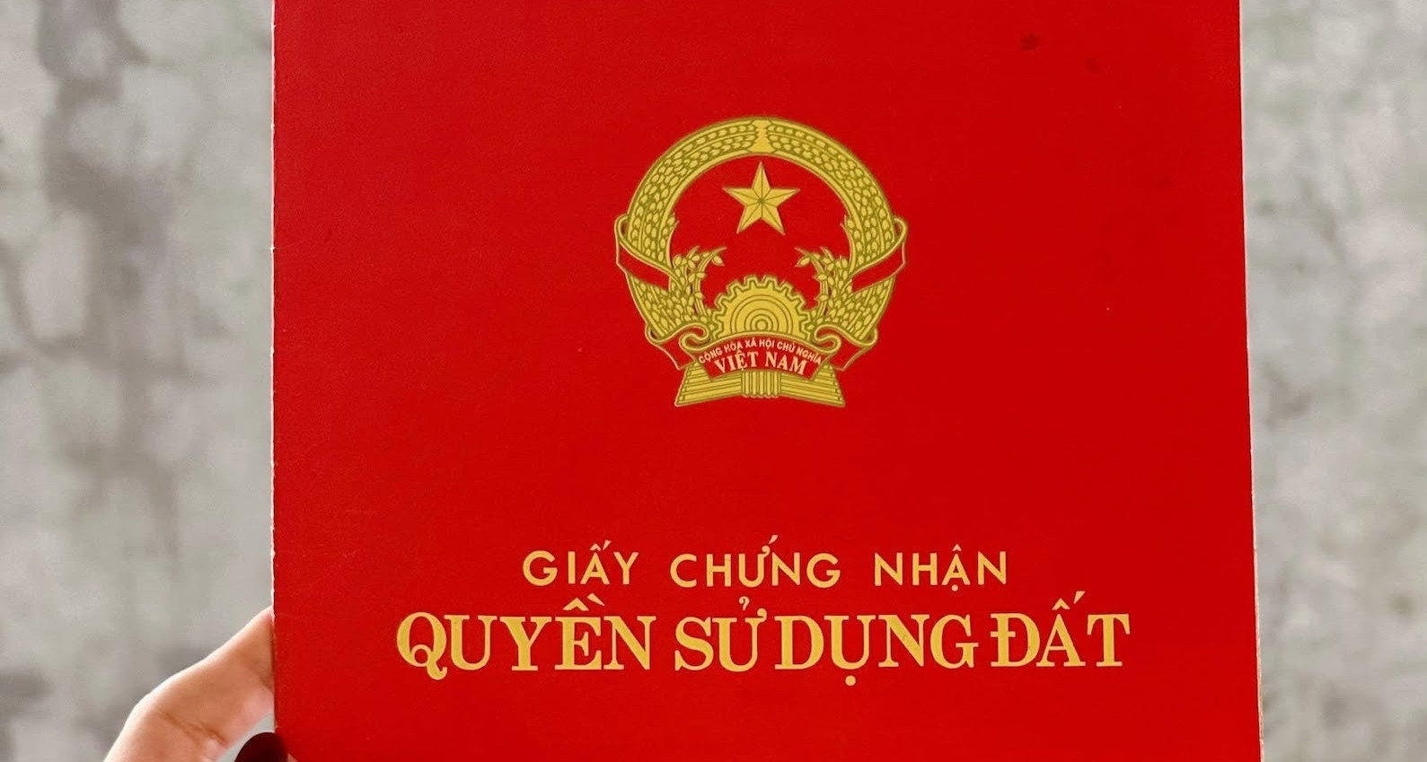 Báo VietnamNet