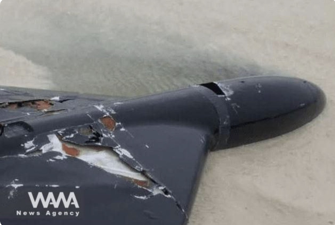 Iran bắn rơi UAV LUCAS của Mỹ. Ảnh: WANA