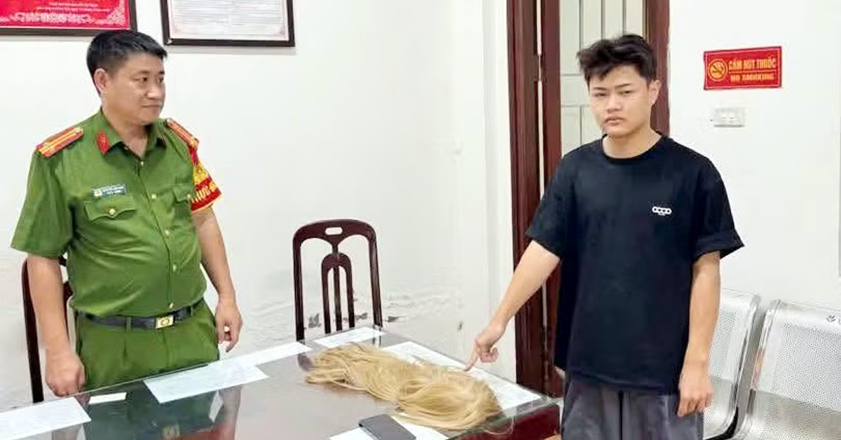 Báo VietnamNet