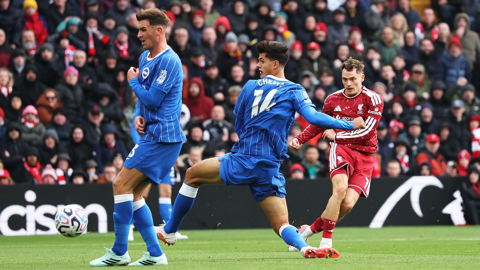 resources_premierleague_pulselive_com 2301924457 (1).jpg