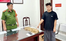 Báo VietnamNet