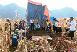 W-Sập đá 2.jpg