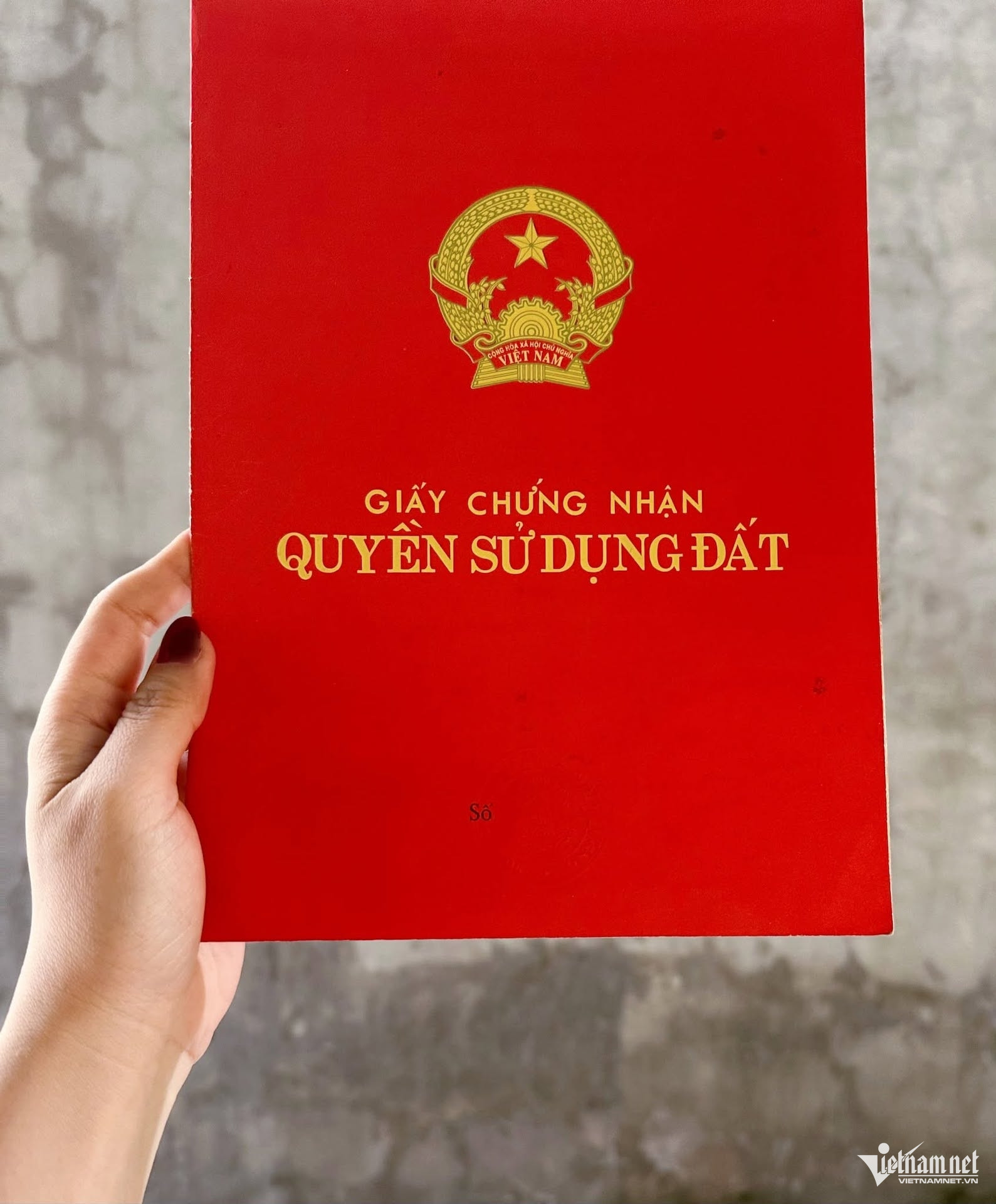 W-so do vietnamnet 2.jpg