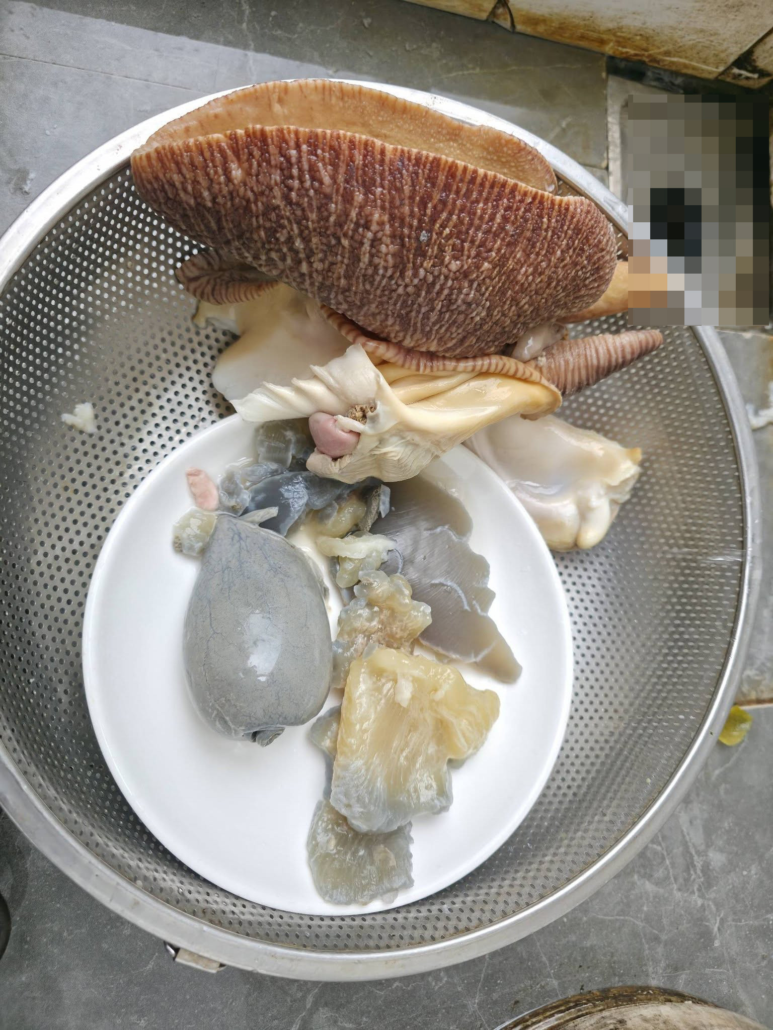 https://static-images.vnncdn.net/vps_images_publish/000001/000003/2026/10/26/oc-giac-7-1192.jpg