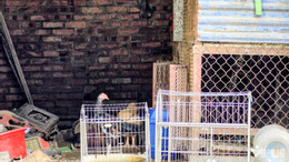Báo VietnamNet