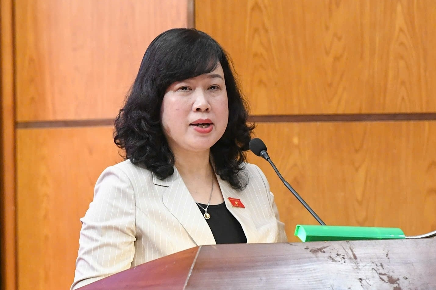 Bộ trưởng Đào Hồng Lan: Việc hiến mô tạng trên tinh thần không ép buộc bất kỳ ai