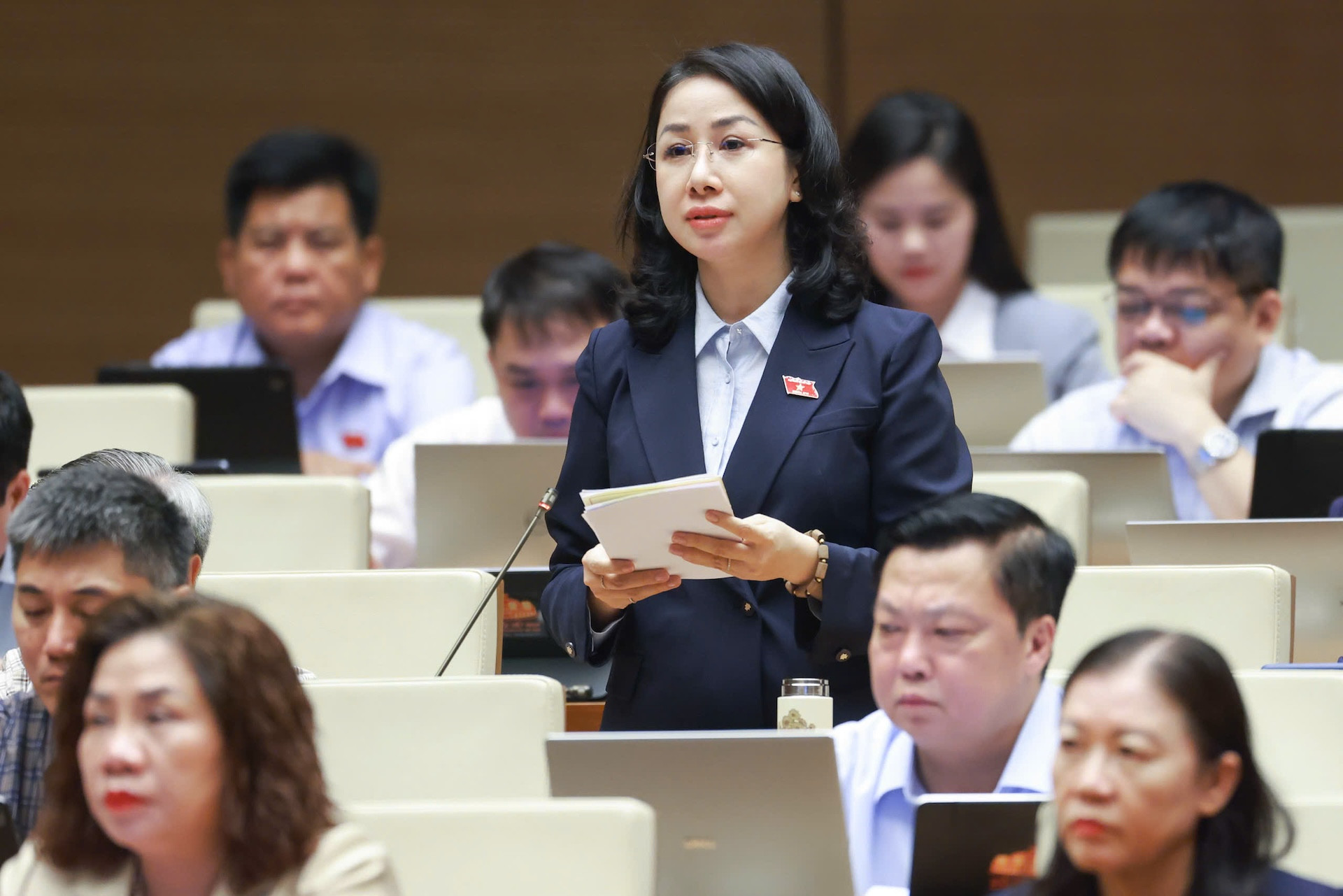 Đại biểu Phan Thúy Linh
