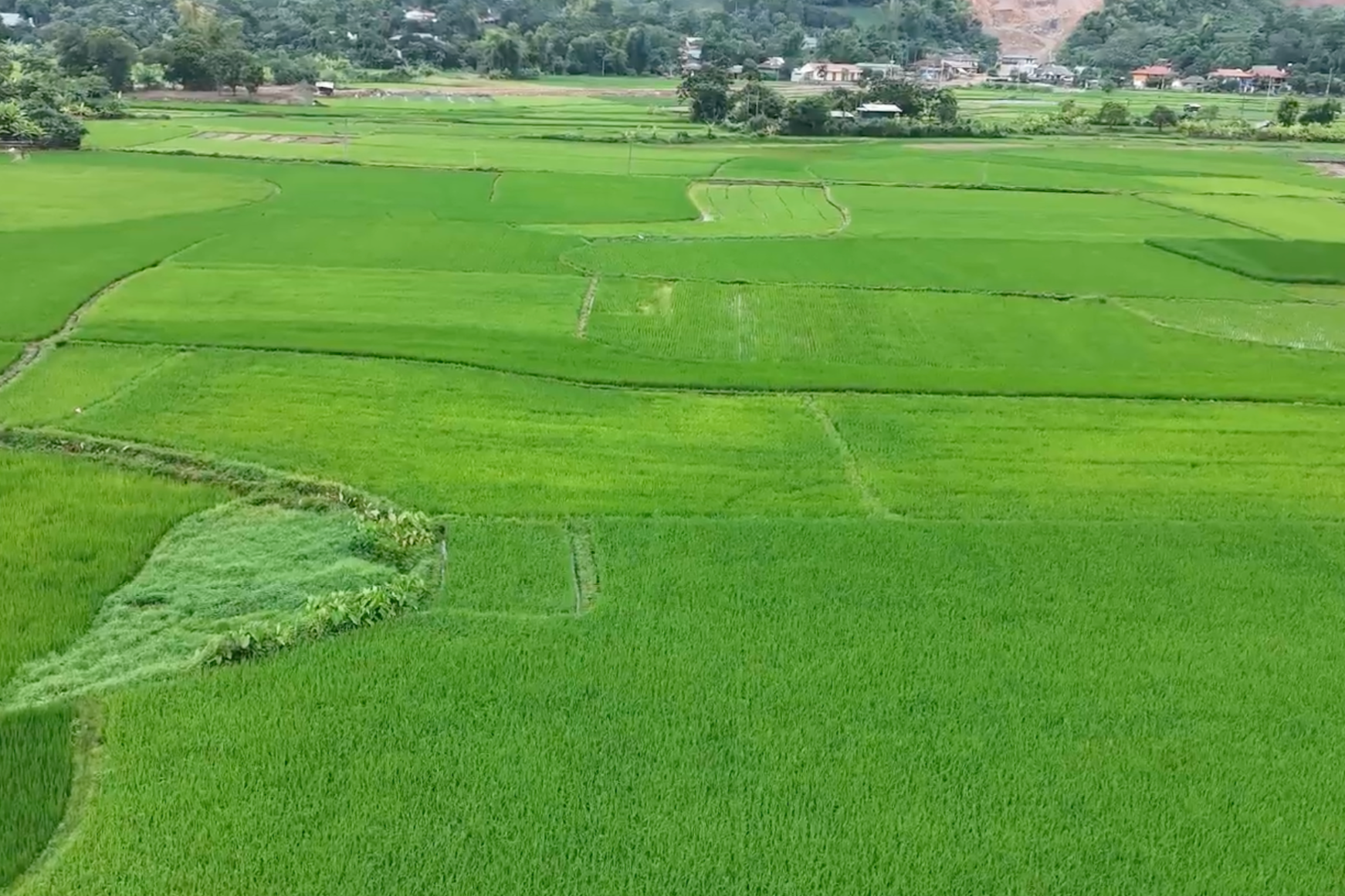 Nhà nước thu hồi ruộng đứng tên chồng, vợ có được hỗ trợ chuyển đổi nghề?