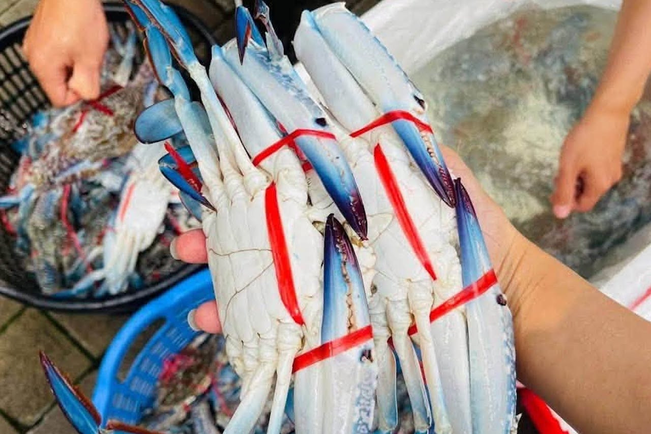 Ăn cua ghẹ chết có nguy cơ gì?