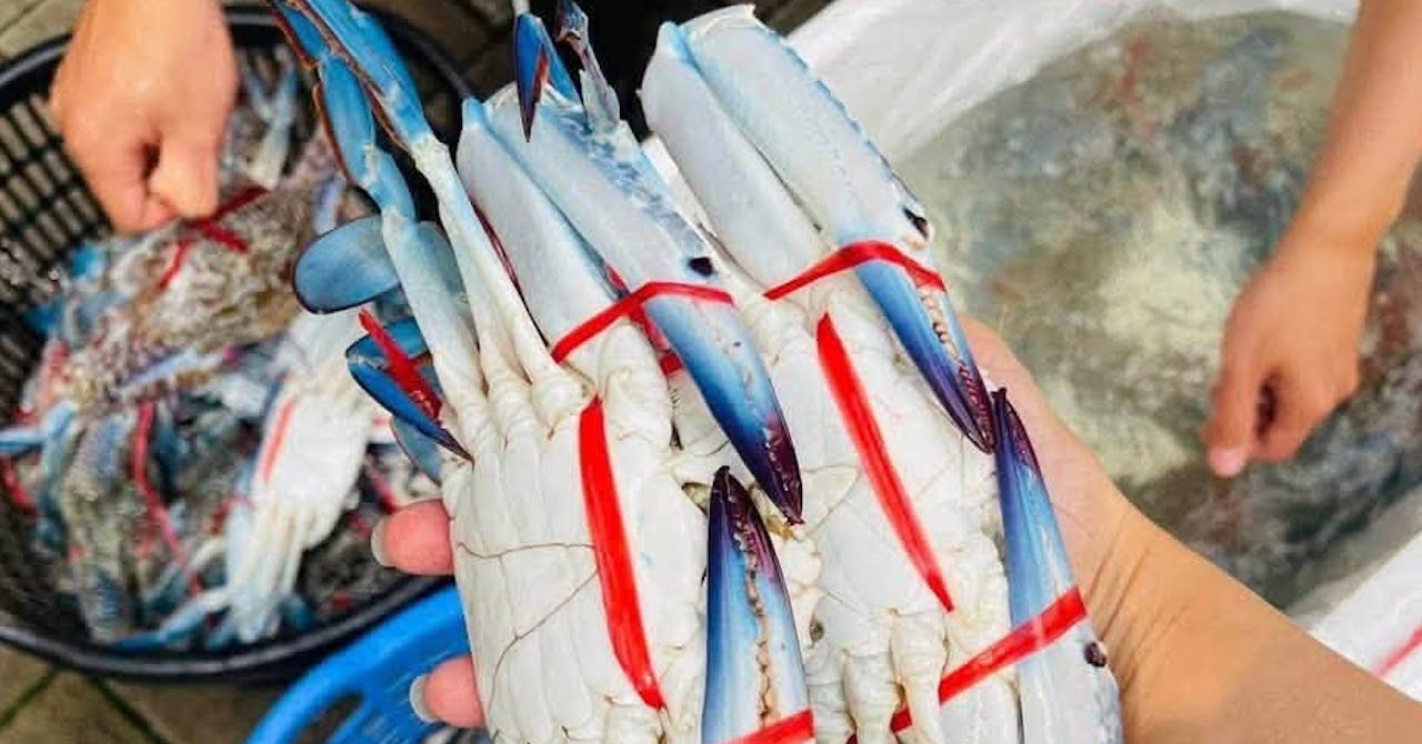 Ăn cua ghẹ chết có nguy cơ gì?