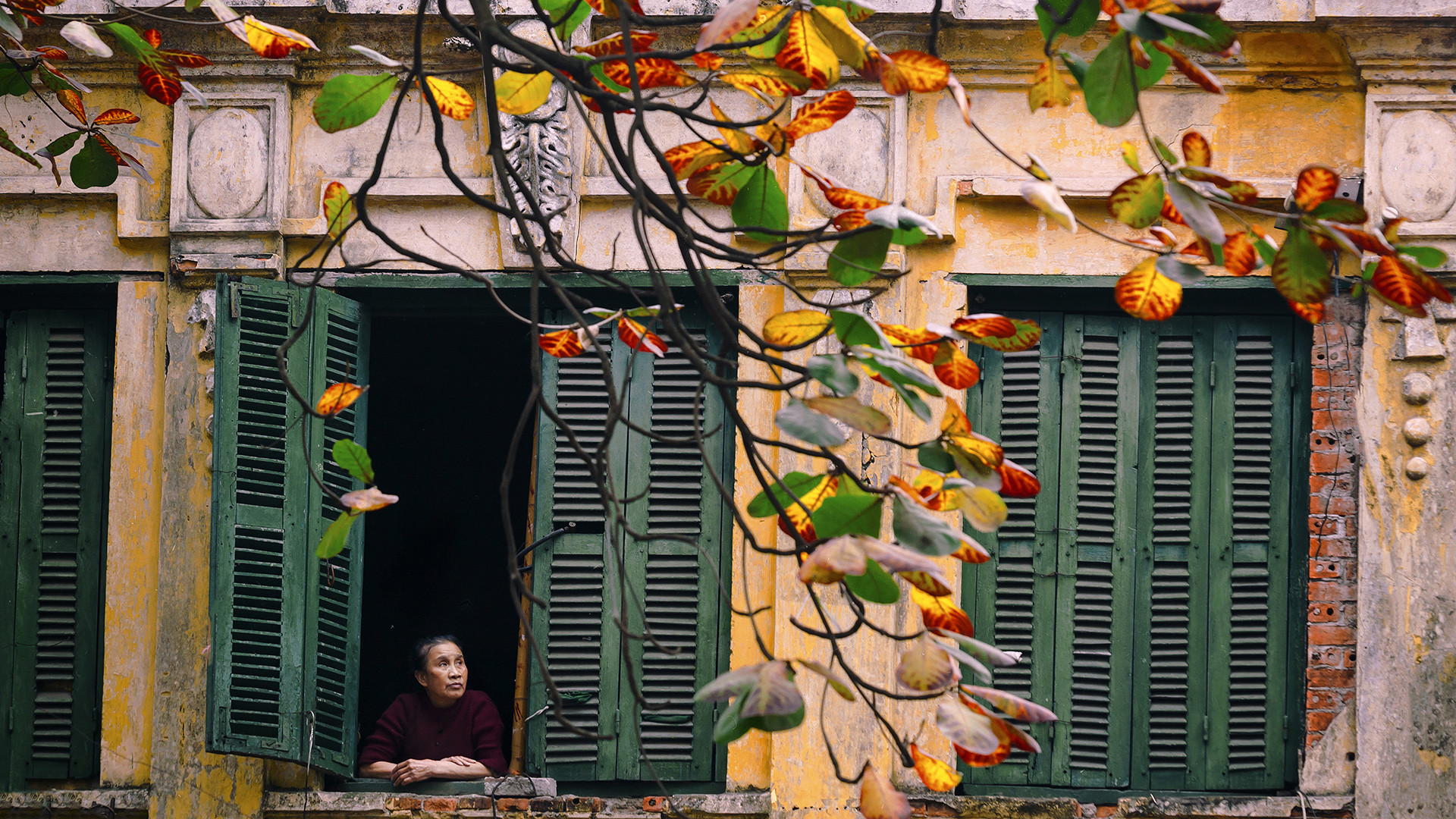 goc nho ha noi 11402.jpg