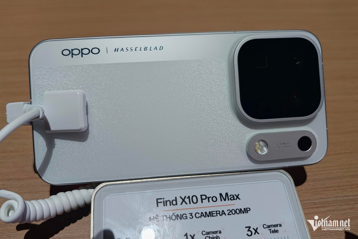 W-matlungfindx10promax.jpg