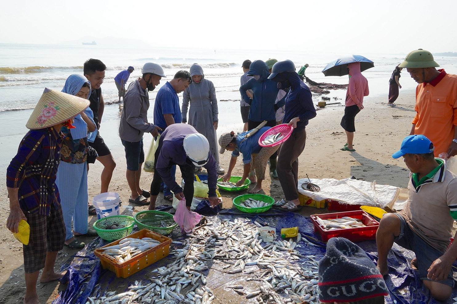 Đến Cửa Lò xem ngư dân 'dàn trận' kéo lưới rùng, đi giật lùi xúc lộc trời