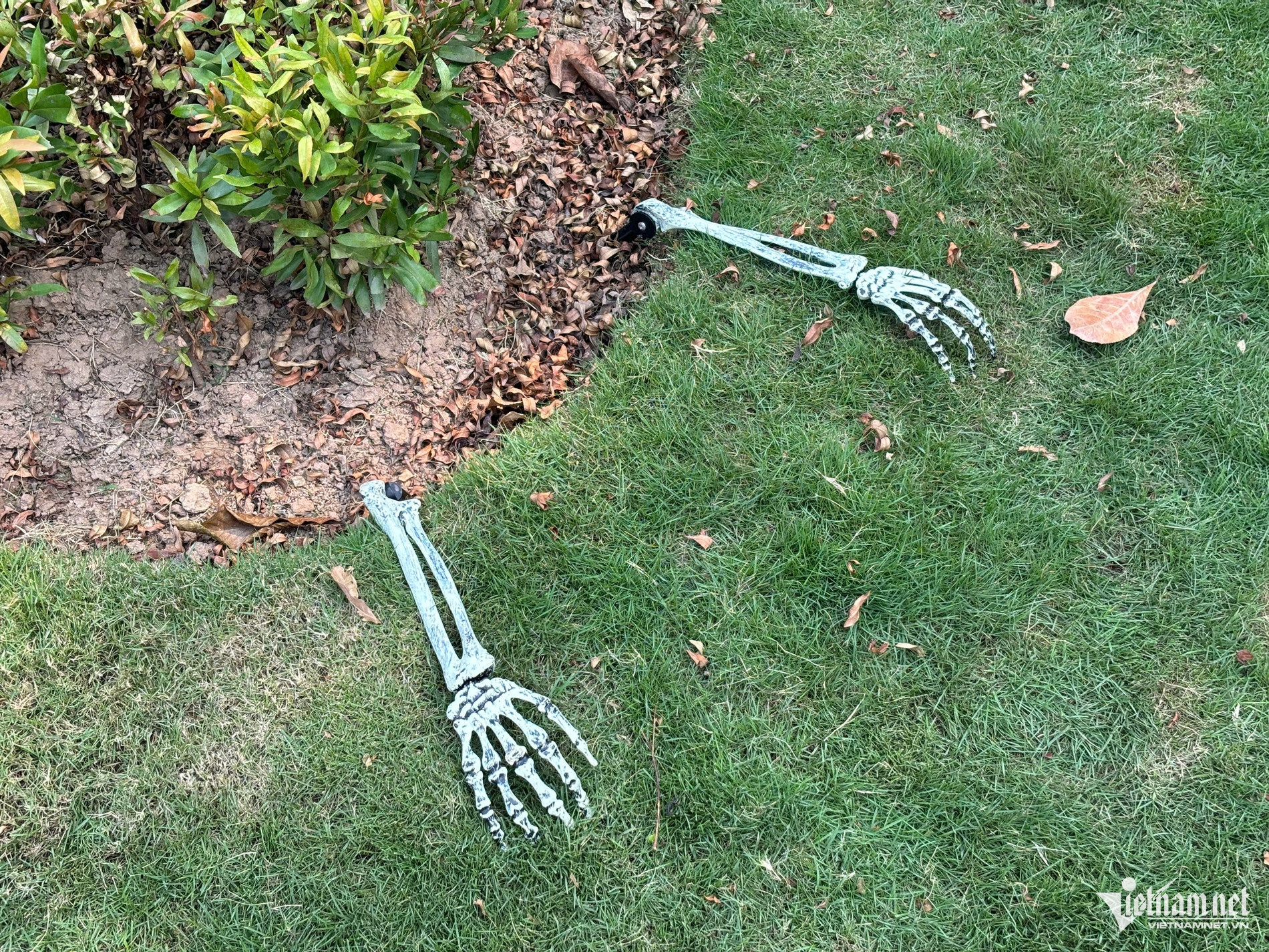 https://static-images.vnncdn.net/vps_images_publish/000001/000003/2026/10/29/w-halloween1-2341.jpg