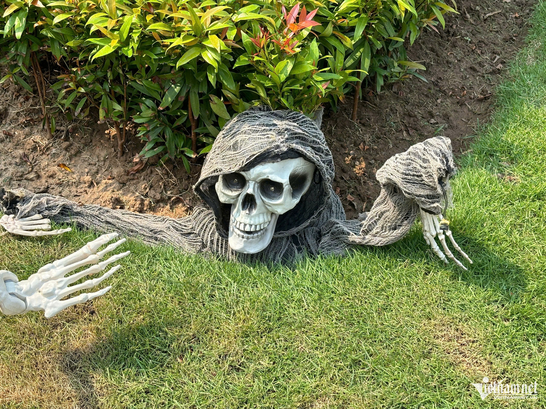 https://static-images.vnncdn.net/vps_images_publish/000001/000003/2026/10/29/w-halloween14-2340.jpg