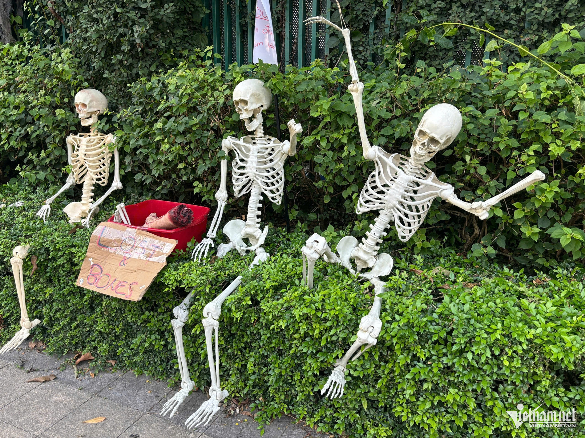 W-halloween6.jpg