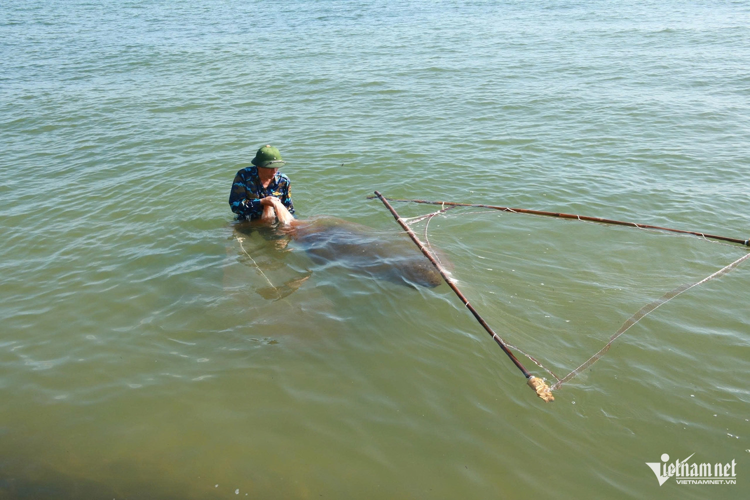 W-xúc ruốc 3.jpg
