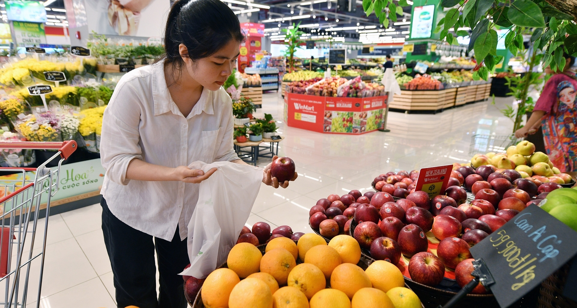 GDP 9 tháng tăng 9,01%, CPI tăng 4,52%: Nền kinh tế thêm động lực cuối năm