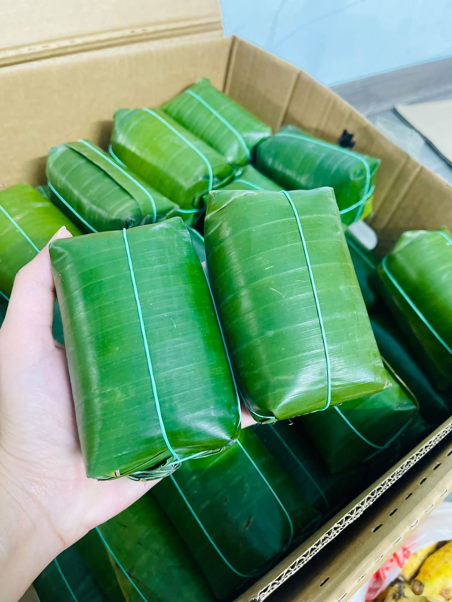 https://static-images.vnncdn.net/vps_images_publish/000001/000003/2026/10/30/nem-nuong-tho-xuan-0-947.jpg