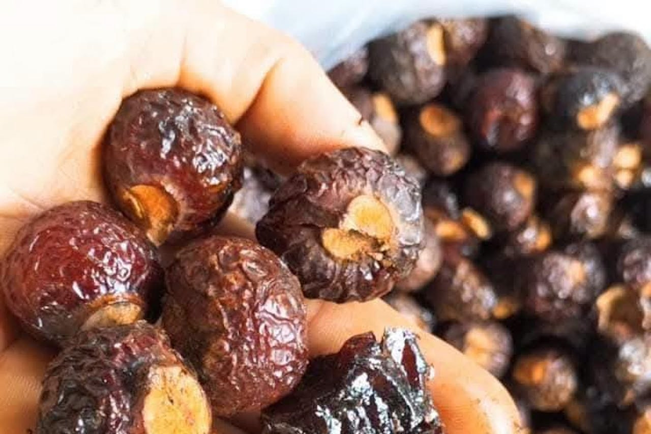 Loại quả từng dùng giặt quần áo bị Hà Nội cấm trồng nơi công cộng