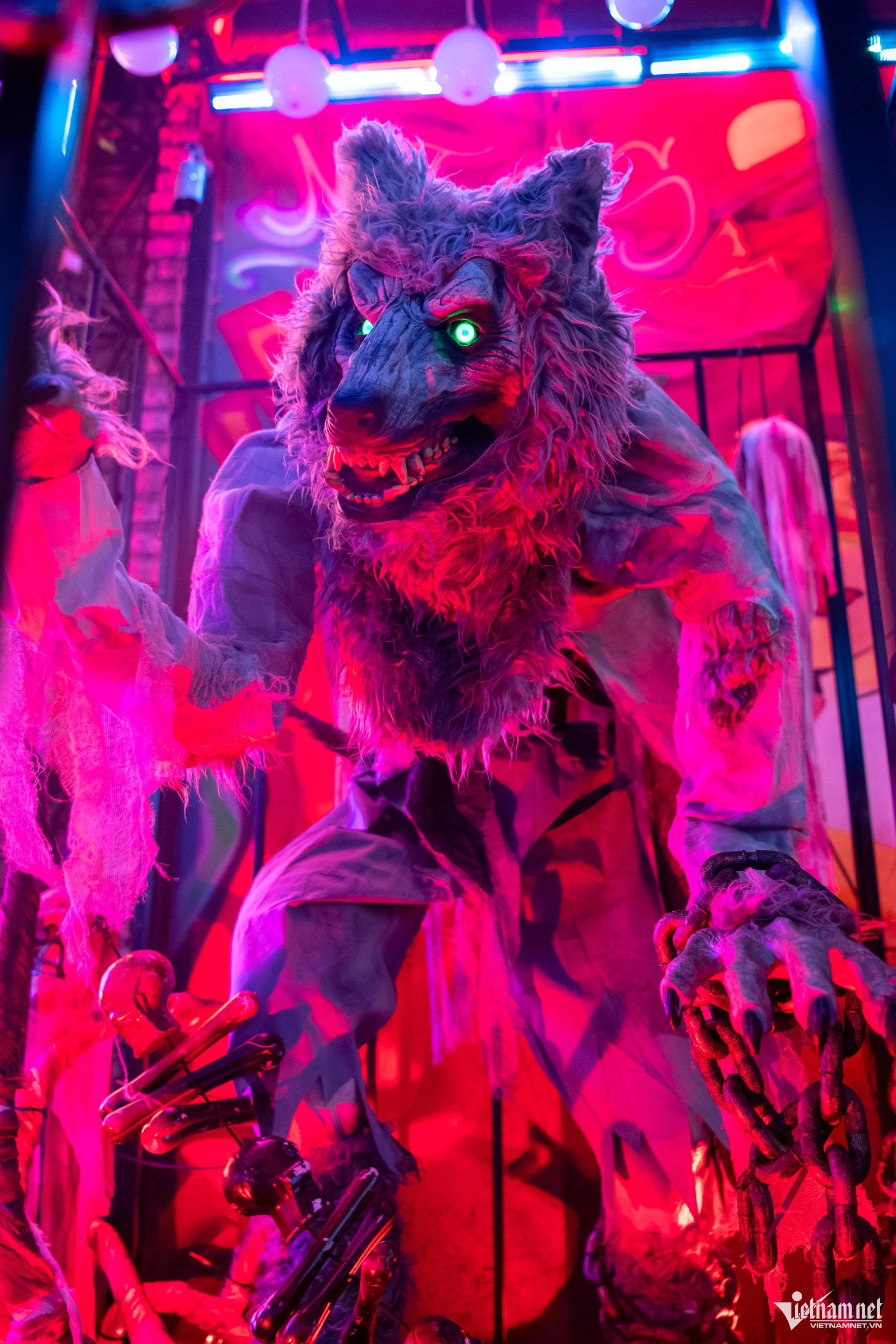 https://static-images.vnncdn.net/vps_images_publish/000001/000003/2026/10/31/w-halooween-tuan-hung-23-332.jpg