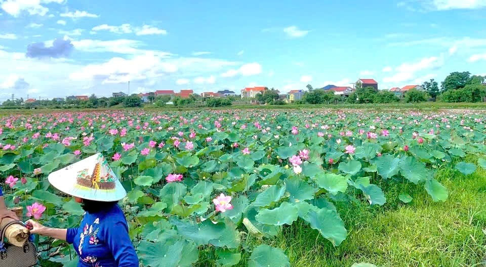 anh 5.jpg