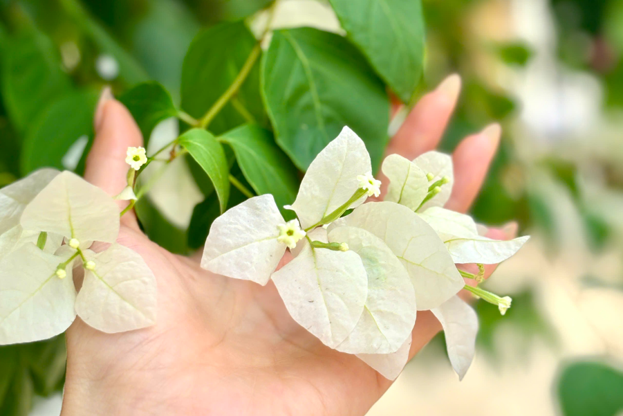 Nỗi ám ảnh của người vợ mỗi khi được chồng... ôm