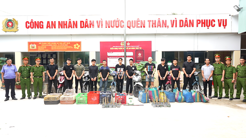 bang trom meo 1.png