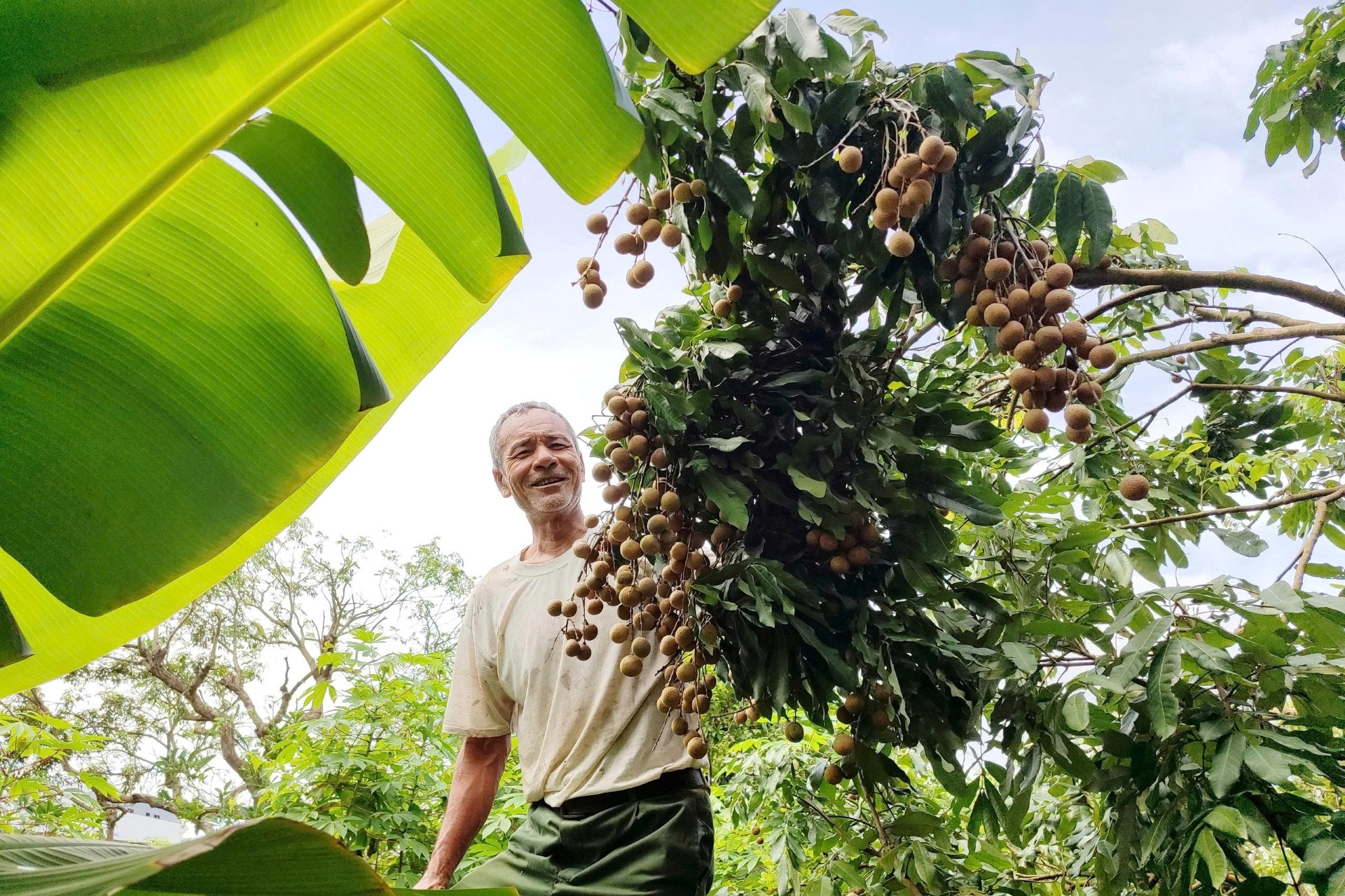 Hưng Yên đánh thức di sản, tạo sức hút mới cho du lịch