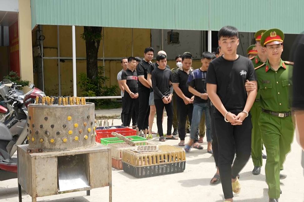 Phá đường dây trộm 2.700 con mèo ở TPHCM, nhiều người nhận lại thú cưng