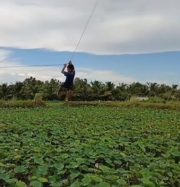 thoi su 6 10(1).png