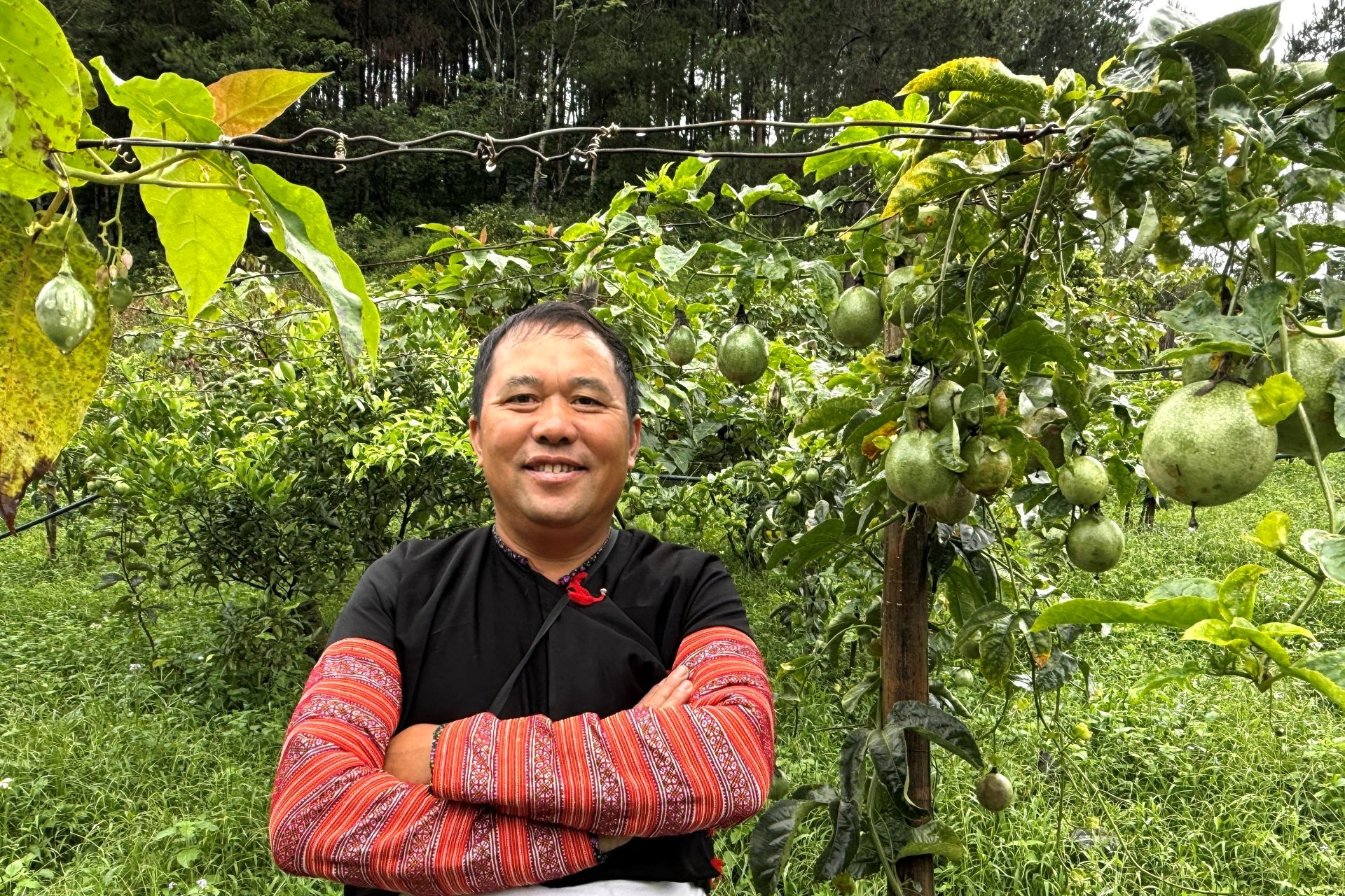 'Vắc-xin' củ riềng của người Mông và vườn sinh thái giữa rừng của cựu trưởng bản
