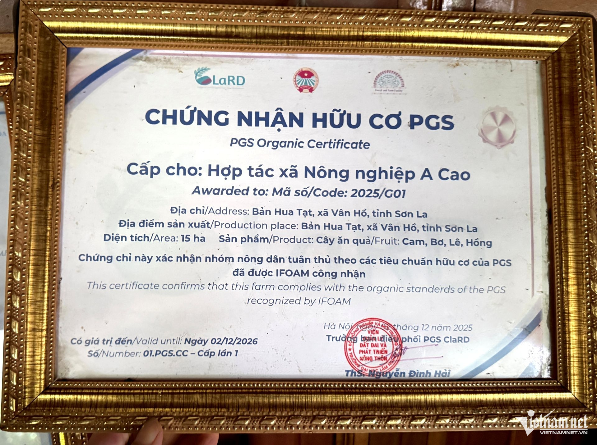 https://static-images.vnncdn.net/vps_images_publish/000001/000003/2026/10/5/w-chung-nhan-huu-co-2771.jpg