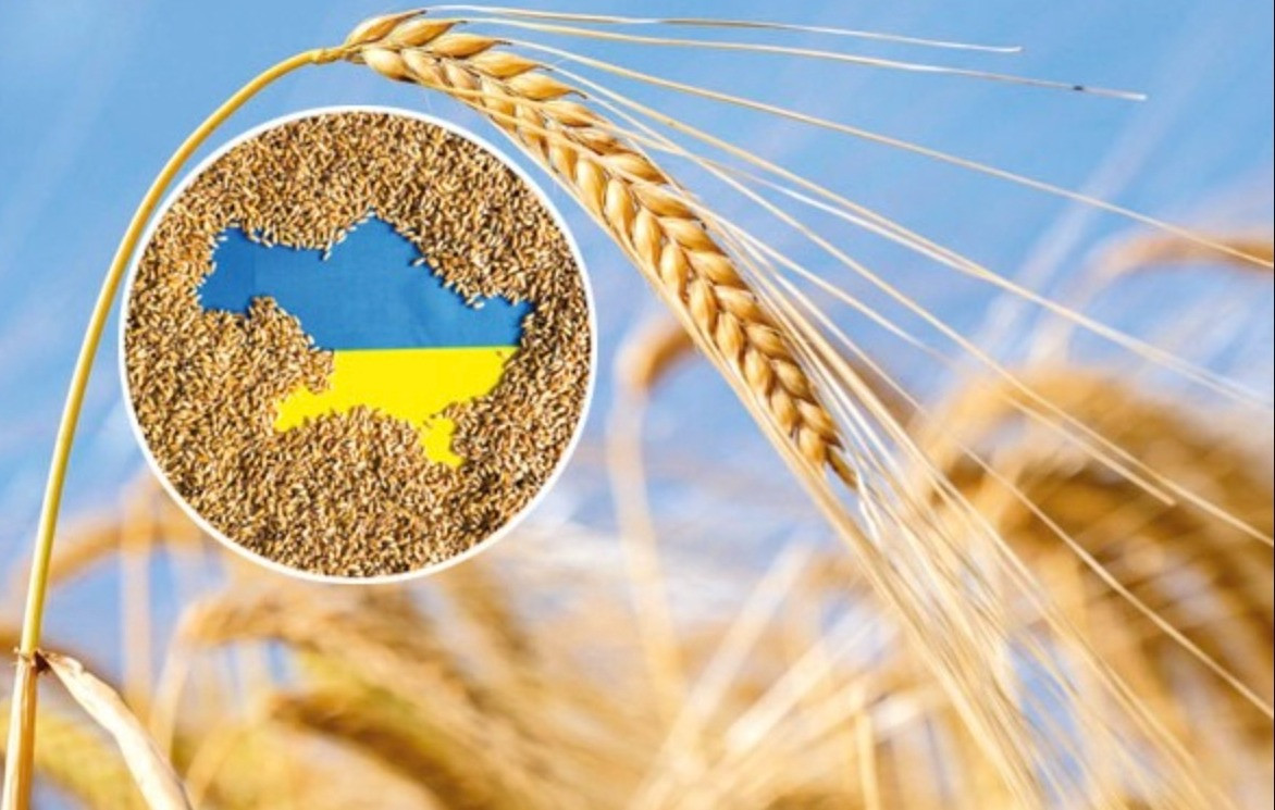 Các nước láng giềng thuộc EU từ chối giúp đỡ Ukraine xuất khẩu ngũ cốc. Ảnh: Miller Magazine