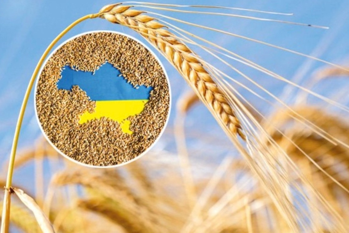 Các nước láng giềng thuộc EU từ chối giúp Ukraine xuất khẩu ngũ cốc