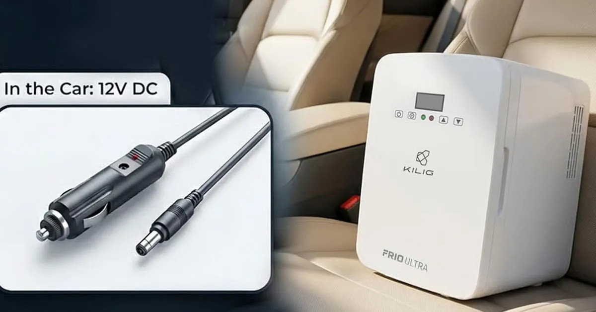 electric_cooler_car_0bd8ccd806.webp