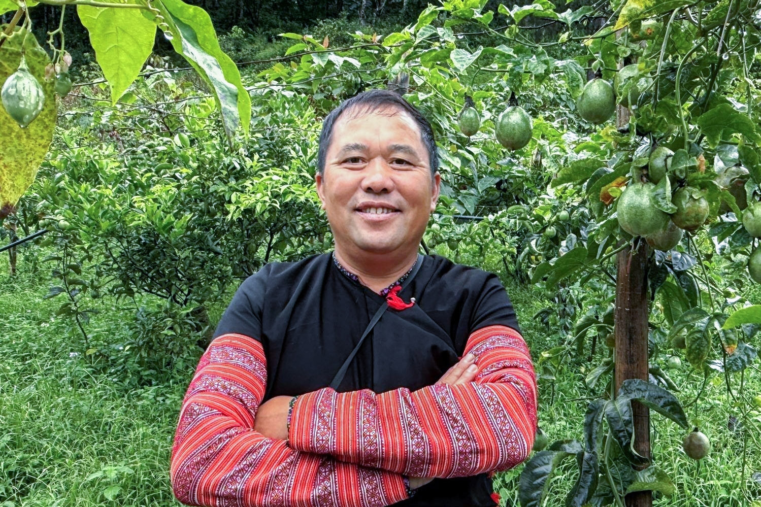 'Vắc-xin' củ riềng của người Mông và vườn sinh thái giữa rừng của cựu trưởng bản