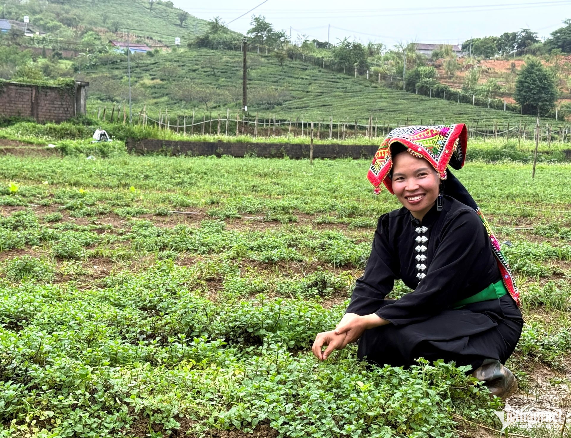W-Ha Thuan Thien Farm.jpg