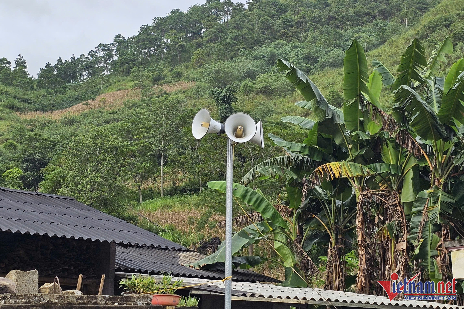 W-truyen thong co so.jpg