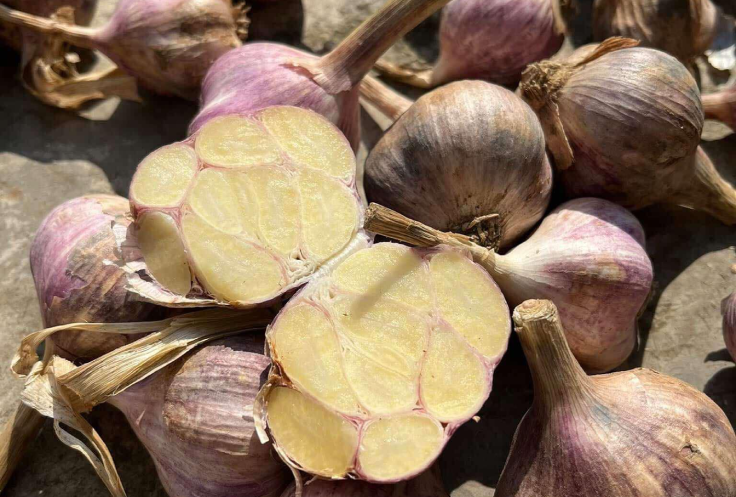 tac dung của toi.png