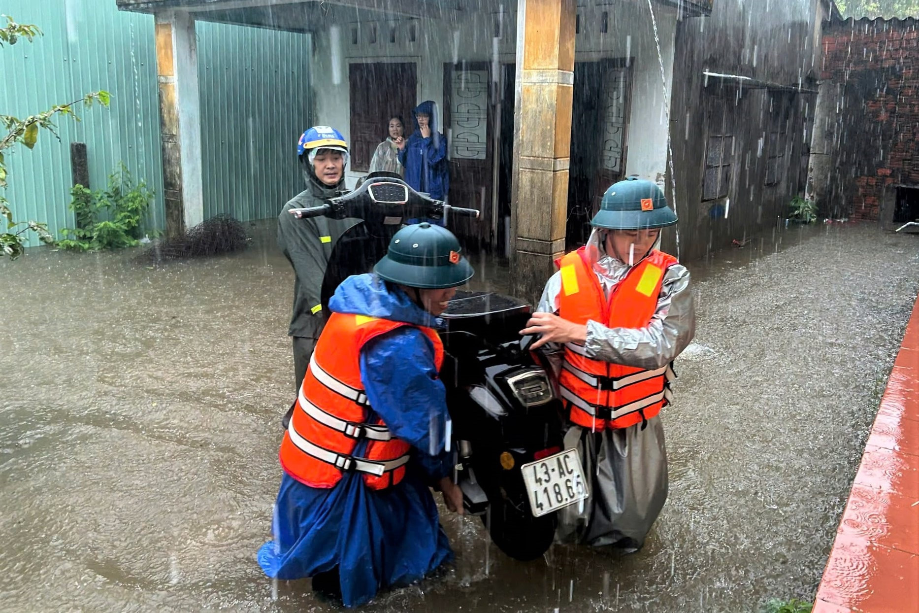 anh 33455666.jpg