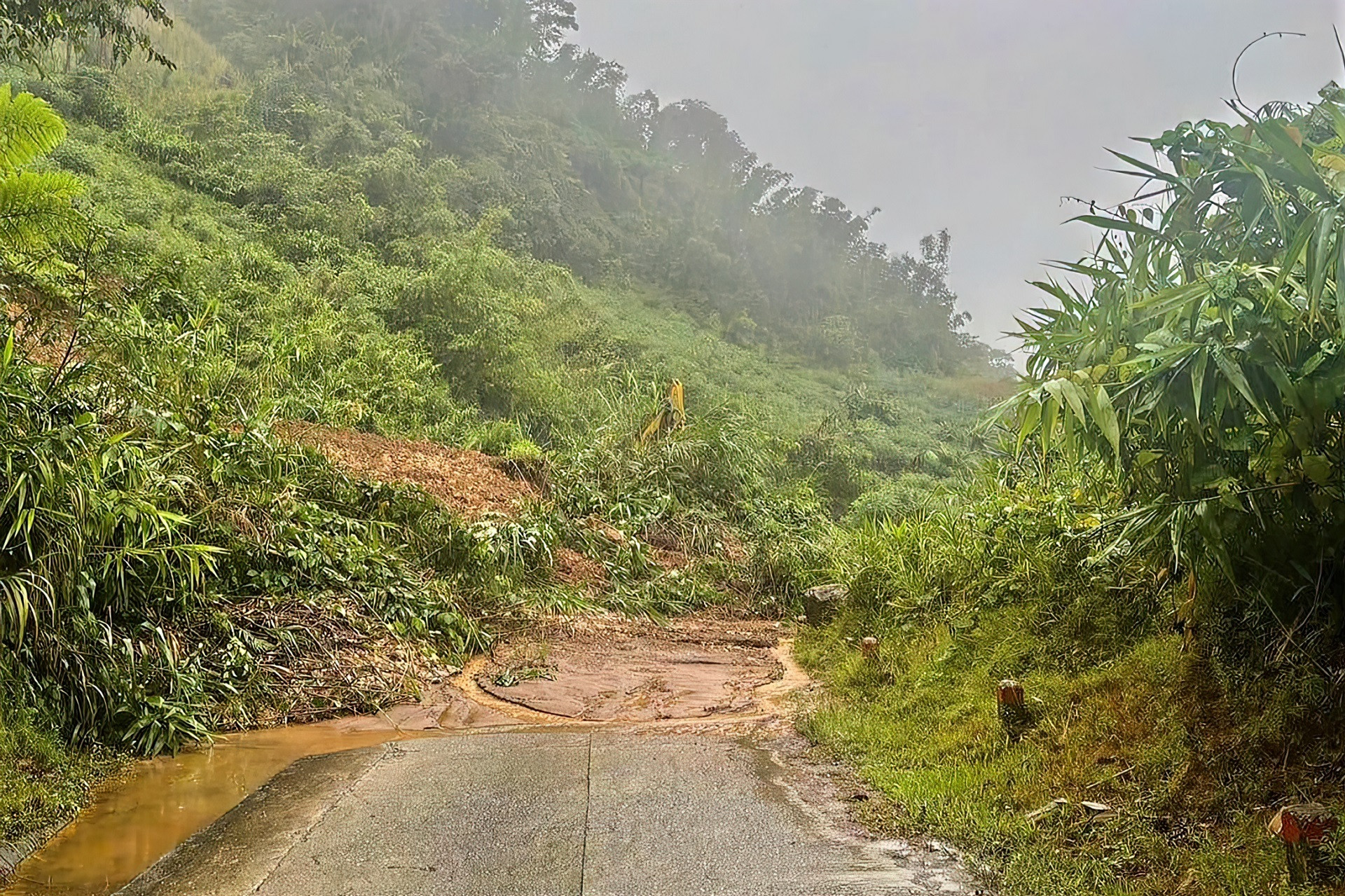 anh 556777 lines scale 2_00x gigapixel.jpg