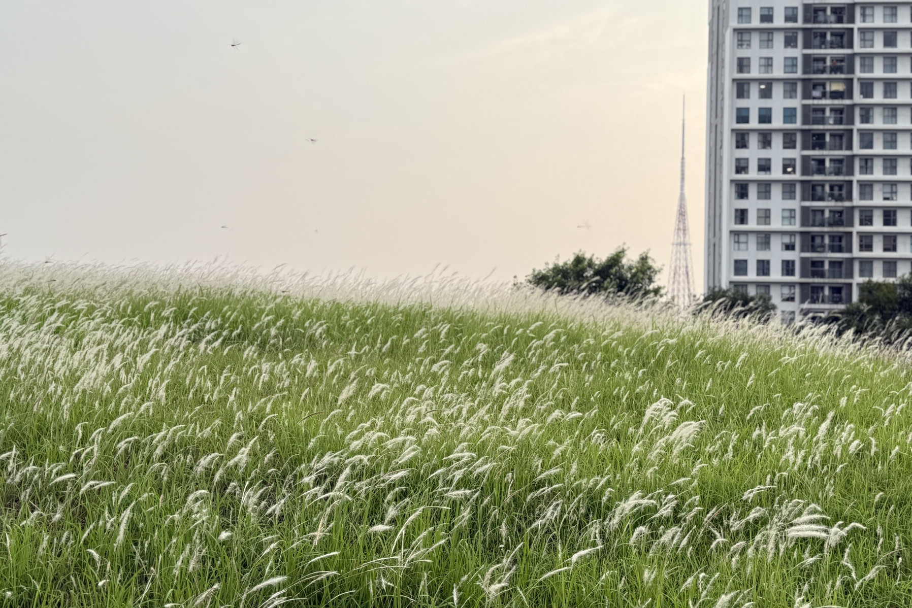 Giám đốc lương hơn 100 triệu mất việc ở tuổi 45, ngỡ ngàng trước thái độ nhà vợ