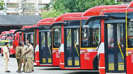 thi lai xe bus.webp