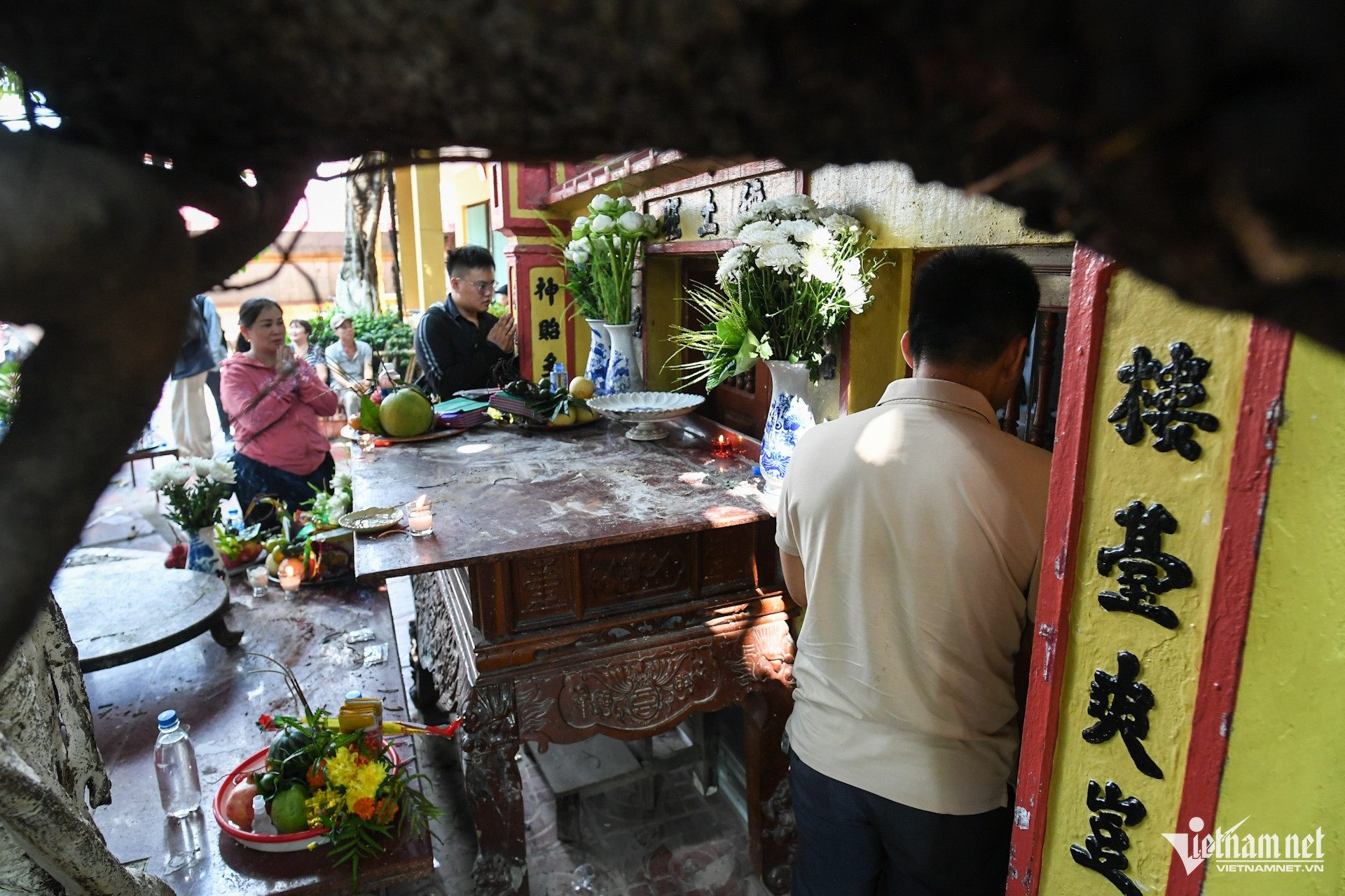 W-cay da 13 goc   chua   phat giao   hai phong (15).JPG.jpg