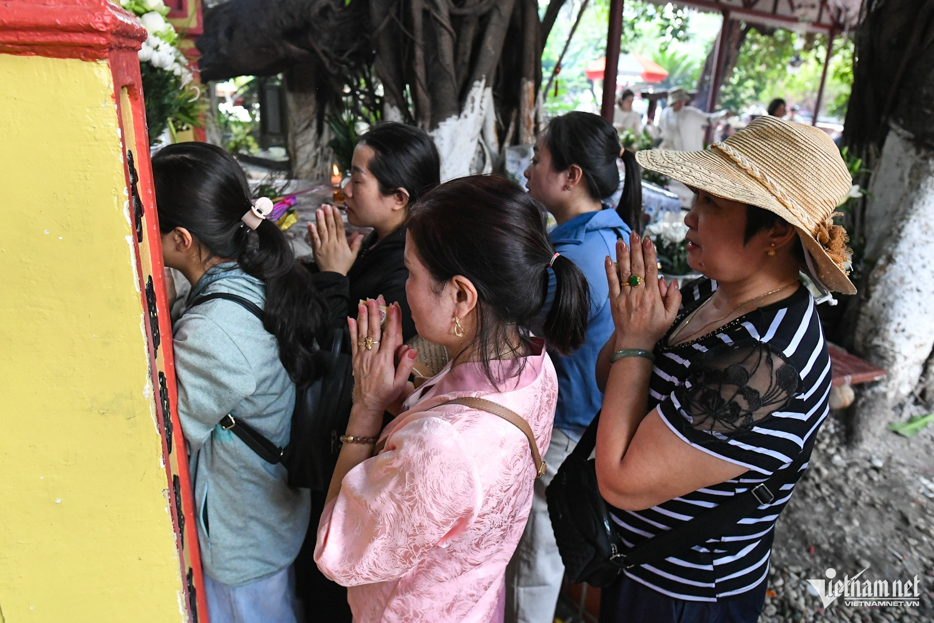 W-cay da 13 goc   chua   phat giao   hai phong (4).JPG.jpg